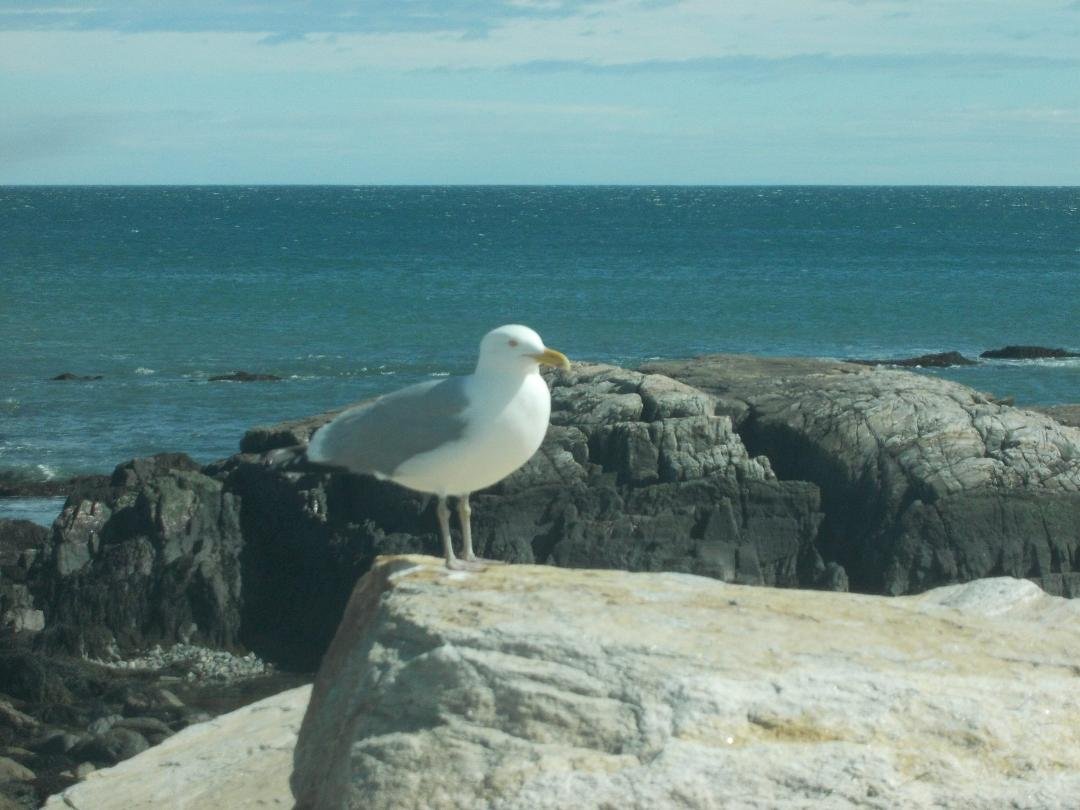 The lovely Atlantic.