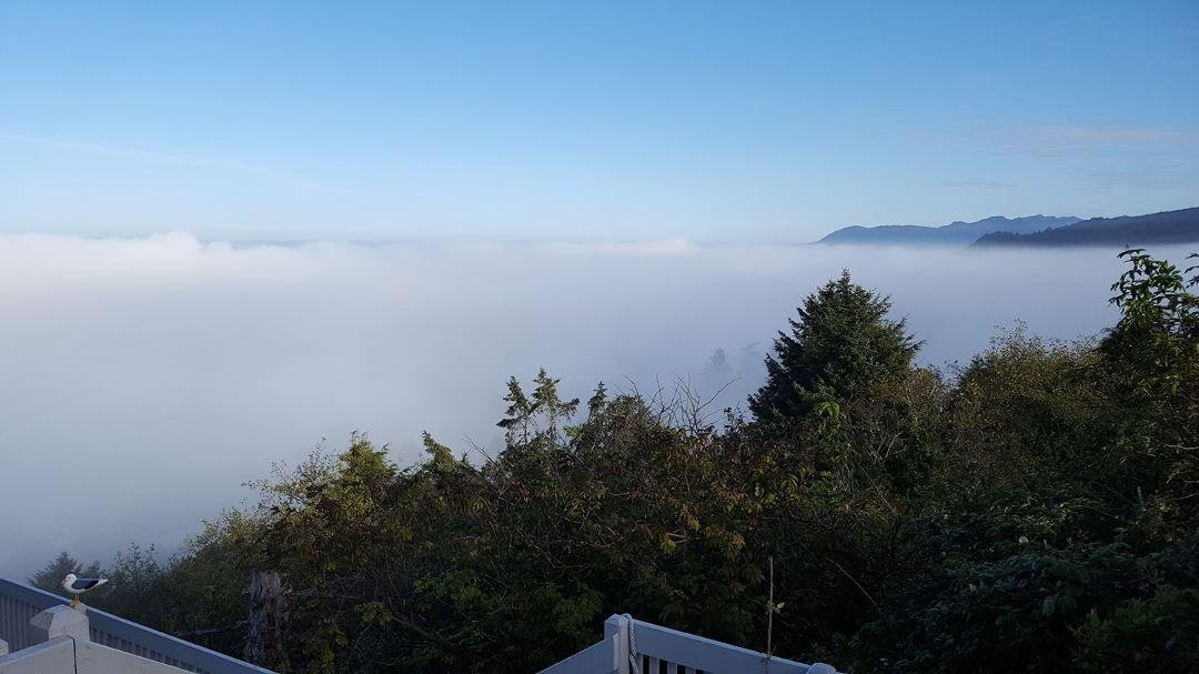 Our view of the coastline this morning.