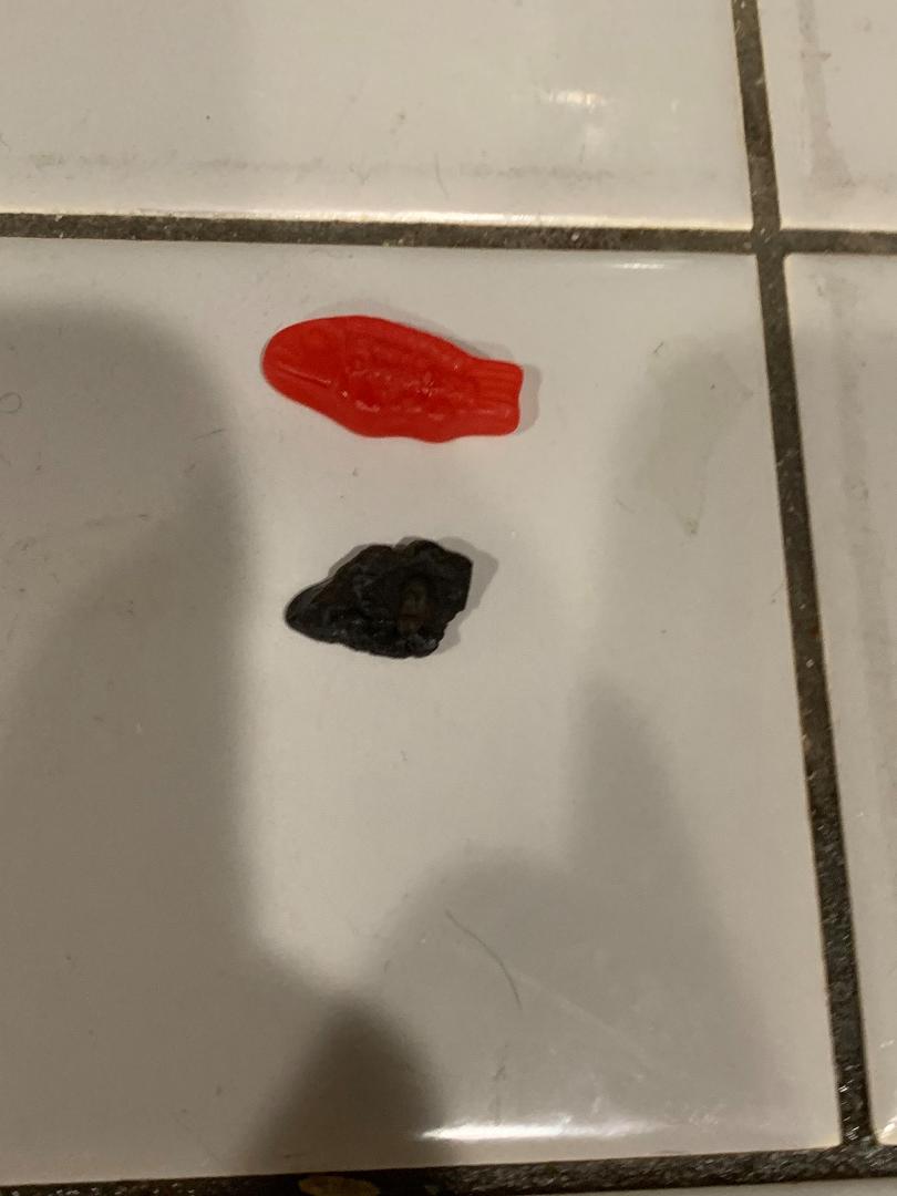 Tonight I had Swedish fish. But the bag came with this. I think it’s an expired Swedish which came with a lot of fresh Swedish fish. #SwedishfishGoneWrong