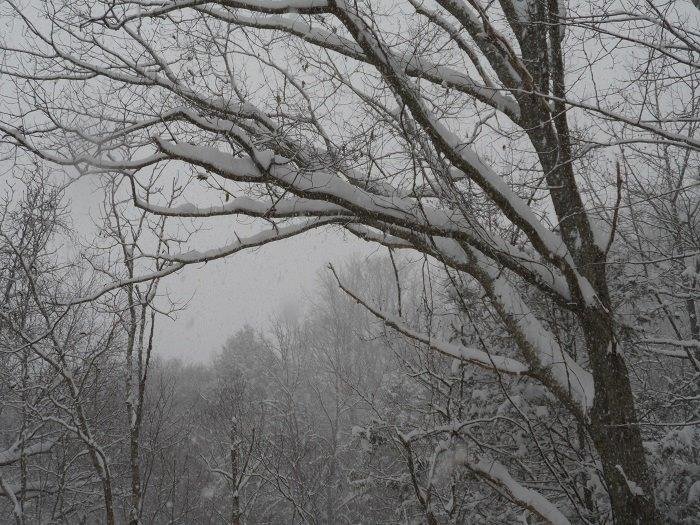 Jimmie Sowder's album, snow