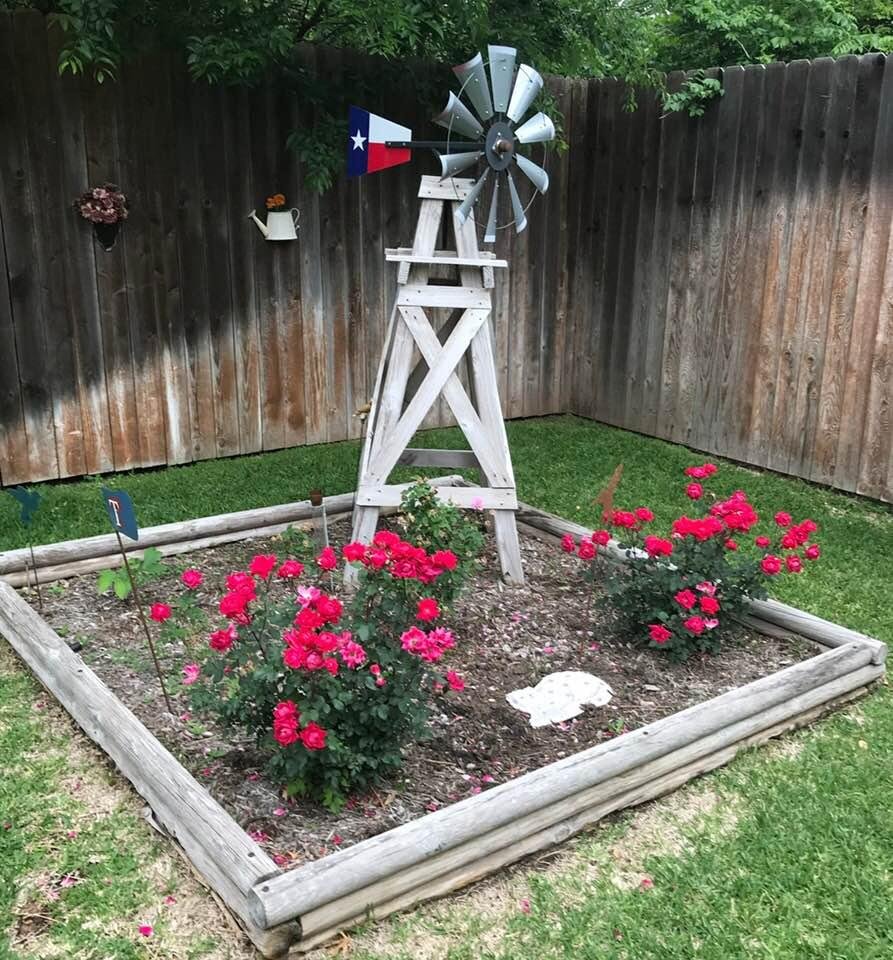 Here lies Sammie The Kitty , not the Rainbow Bridge , just a Rose Garden ! RIP !!!