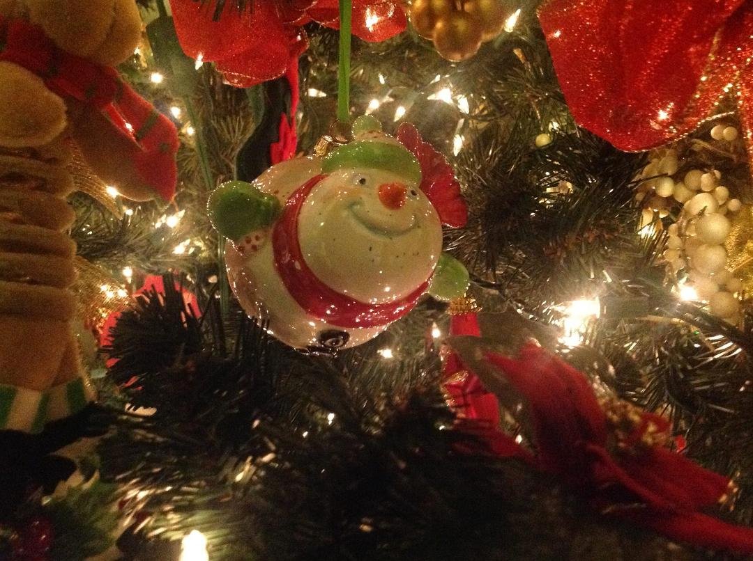 My sister Gerri's new homemade ornament looks right at home and very happy!