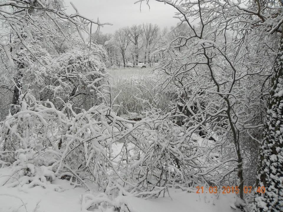 Frederick Everson's album, First day of Spring -- Keyport NJ