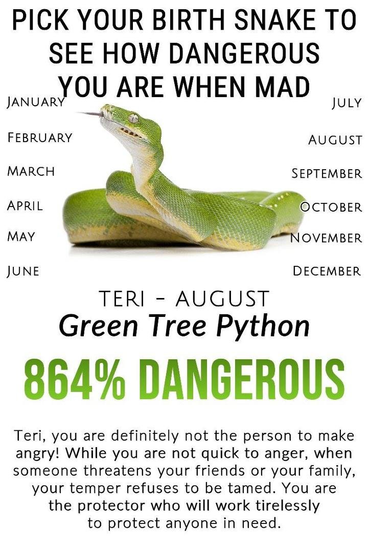 Terry Nelson's album, Timeline Photos