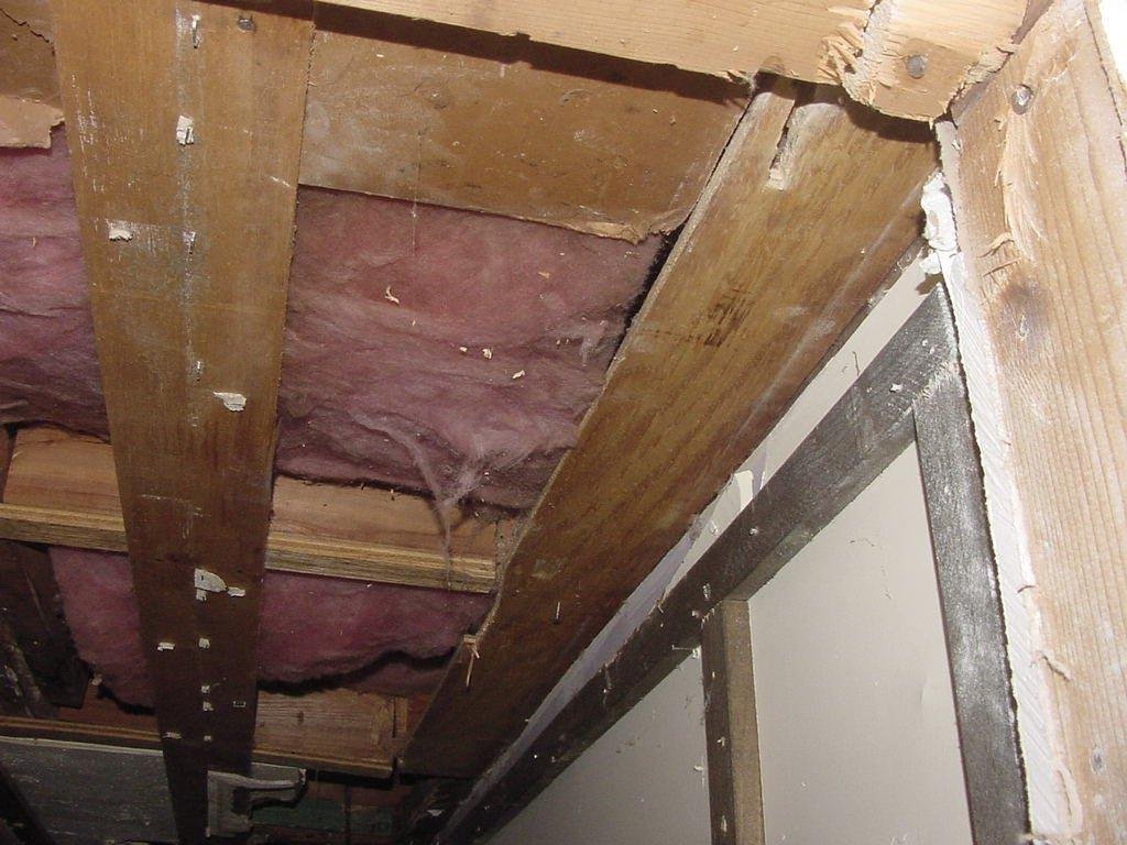 Jay Tauber's album, Demo the old building