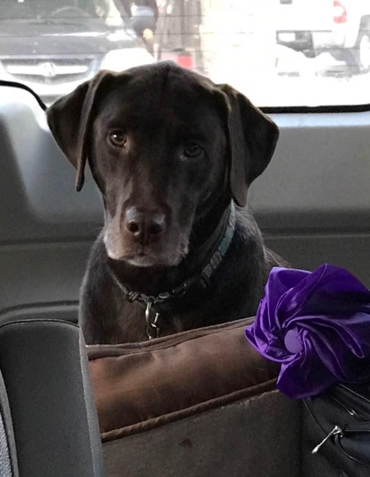 Heading home from Christmas...