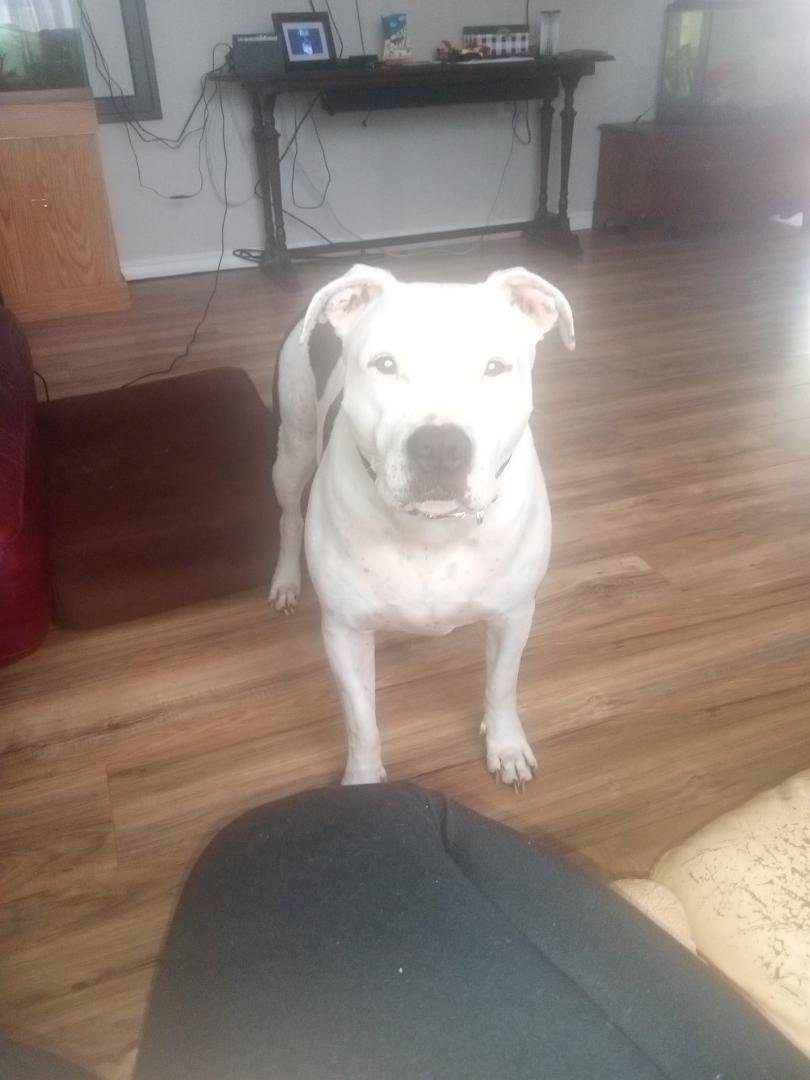 This Guy! He's like where's my treat Grandma!!?