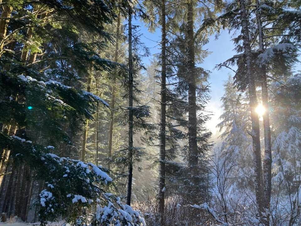 When you live in Alaska, your back yard can look like this.