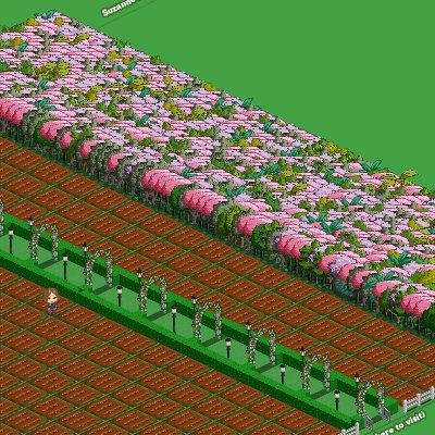 Candy Beck's album, FarmVille Photos