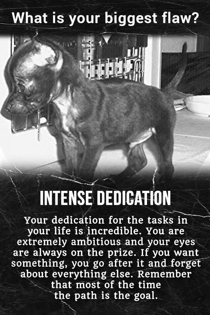 Ellen Ricker's album, Timeline Photos