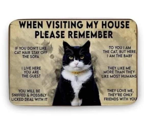 Michele Russo's album, Mobile Uploads
