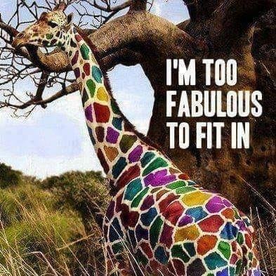 Love THIS picture and quote!