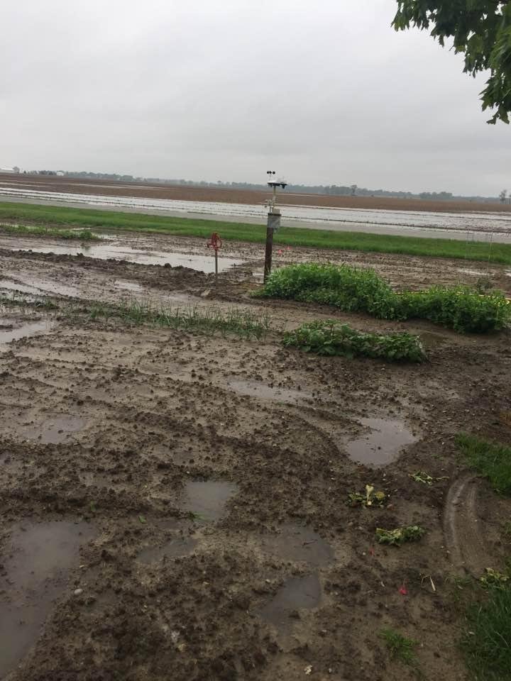 1.4 inches of rain today on top of the 3.4 inches before. Garden is swimming!😩😱