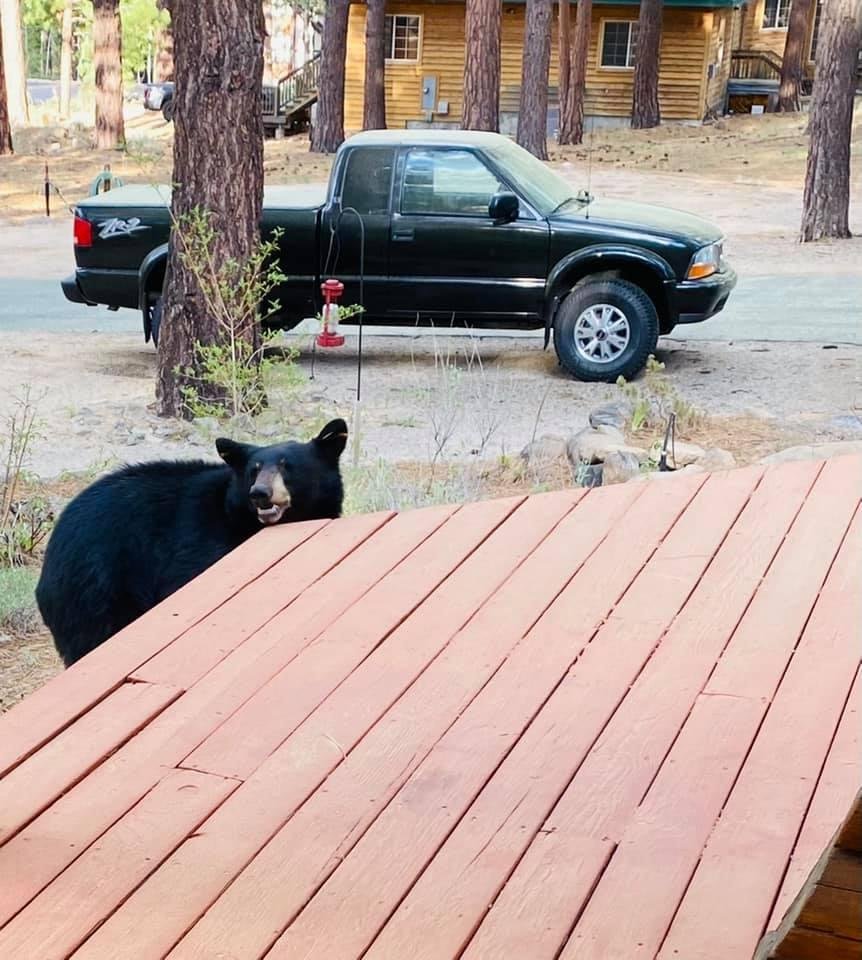 Looking at me when I stepped out the front door for a photo‼️