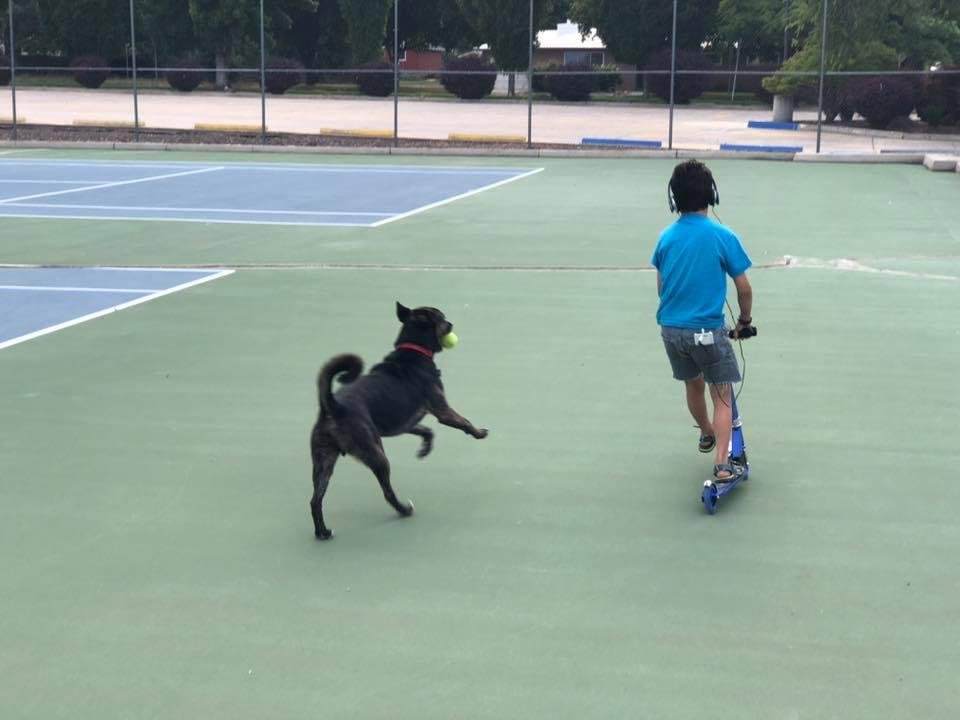 Remington and Jae playing again.
