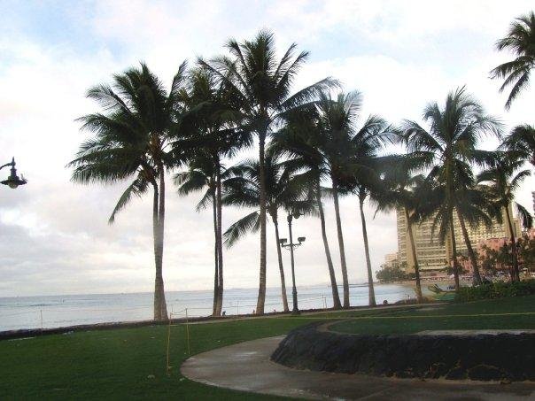 On Waikiki Beach