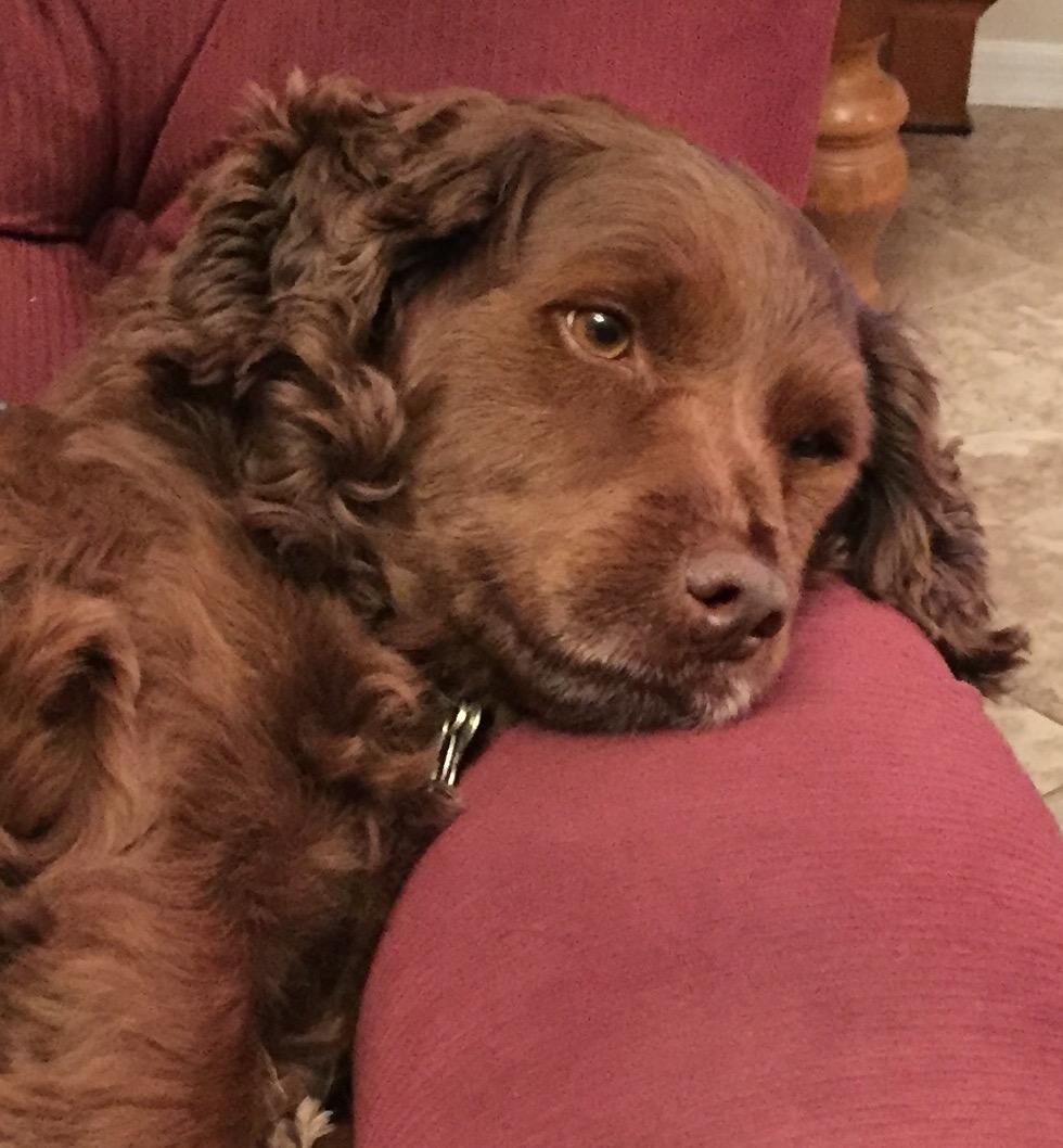 Karl here: I have a smile on my face today because I'm imagining what the world would be like if everybody loved everybody--There would be peace on earth, and bathroom scales would be outlawed!