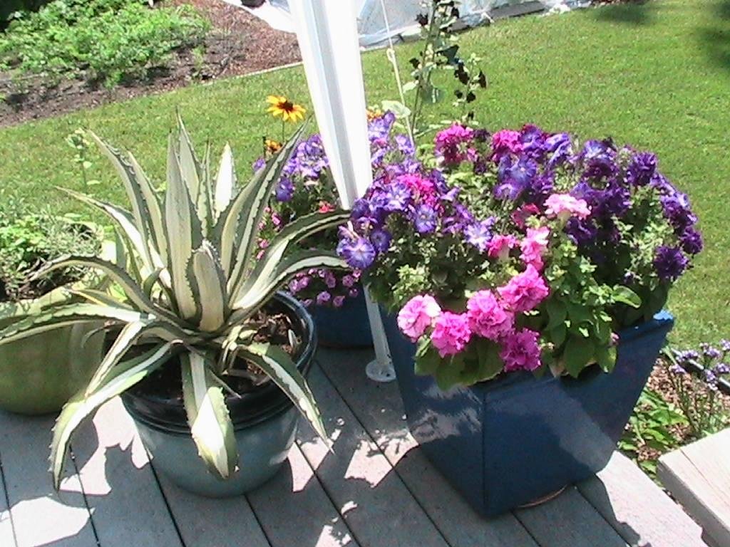Robert Halstead's album, Timeline Photos