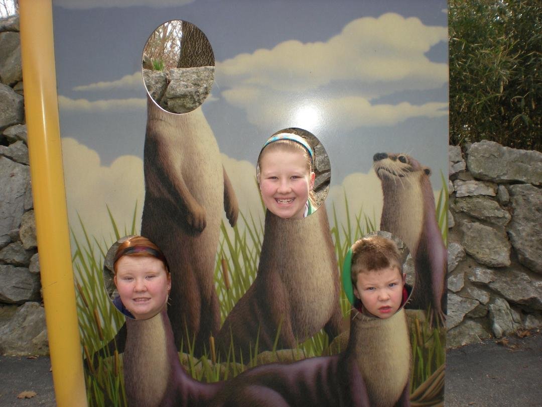 Took Grandkids to zoo Sat. made it past Sea Lions ok got to the Primates hmmm