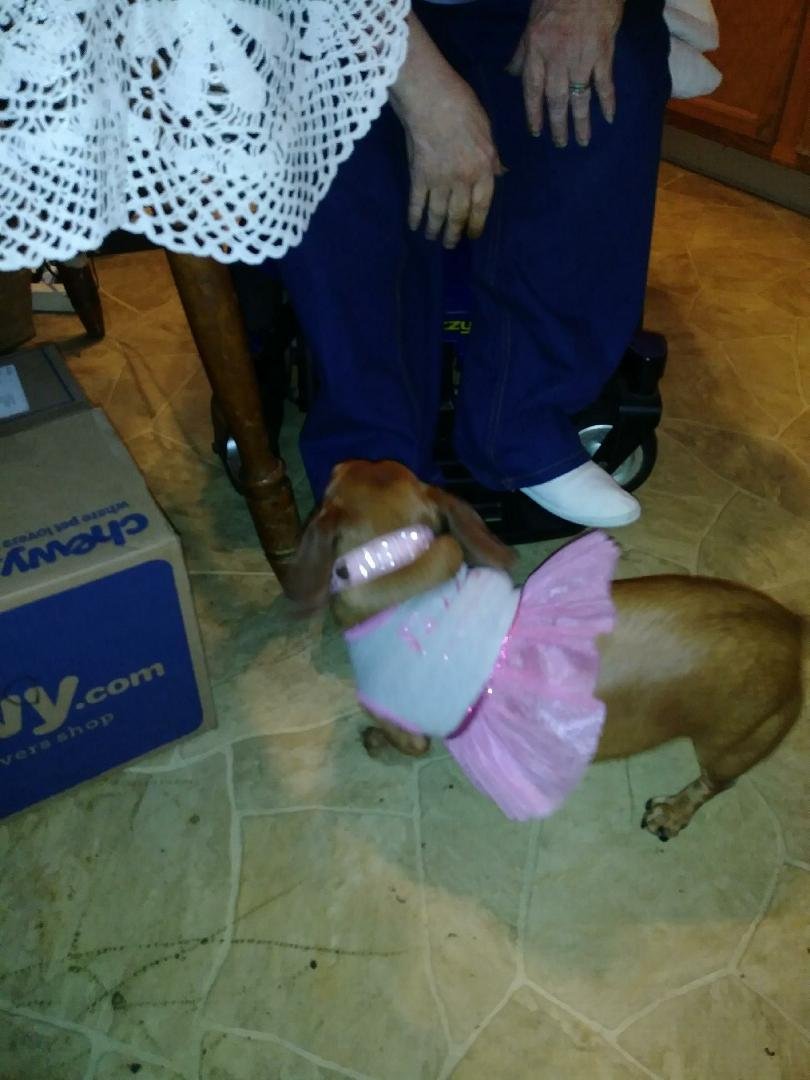 This is my baby Jenny in her new dress.