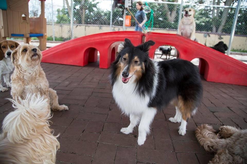 Mark Gross' album, Timeline Photos
