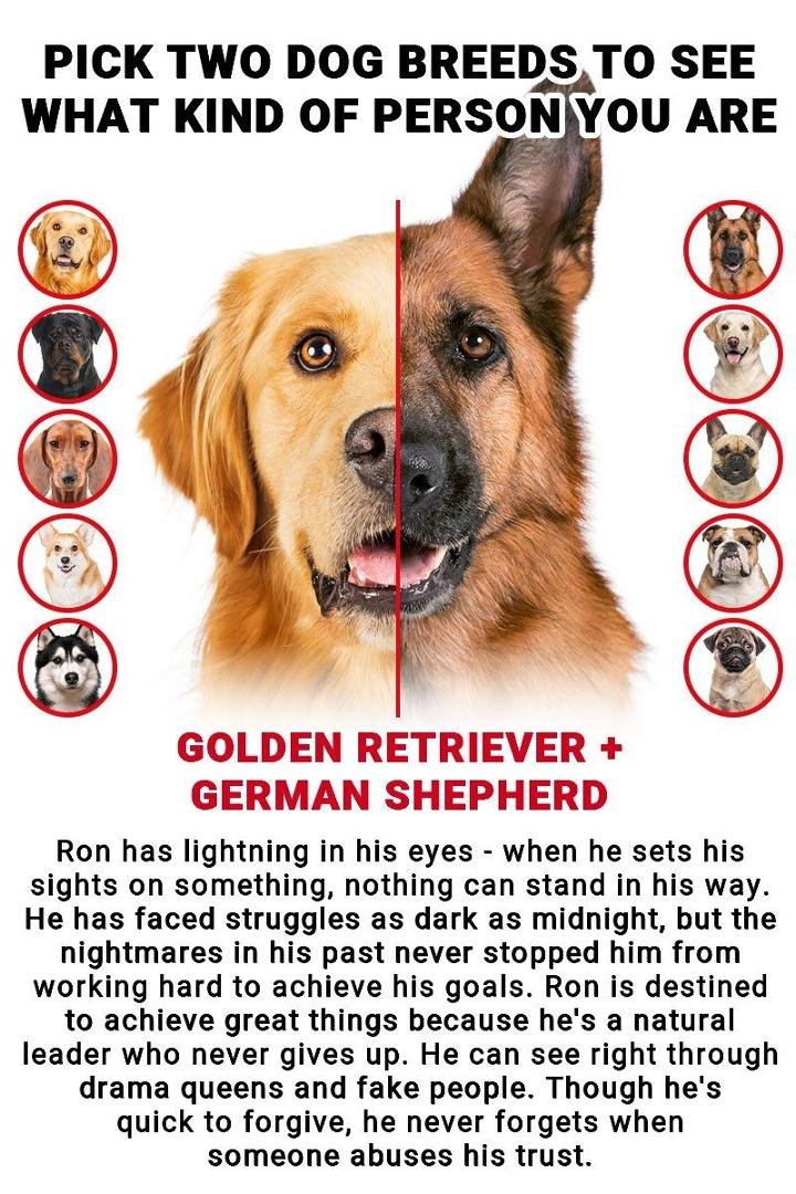 Ron Schlemmer's album, Timeline Photos