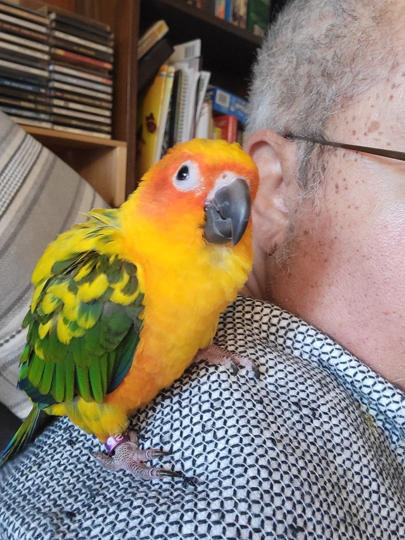 My own tiny dinosaur
