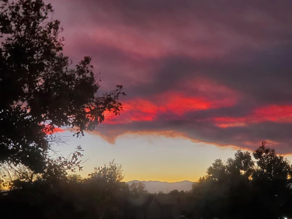 Barbara Allison's album, Mobile uploads