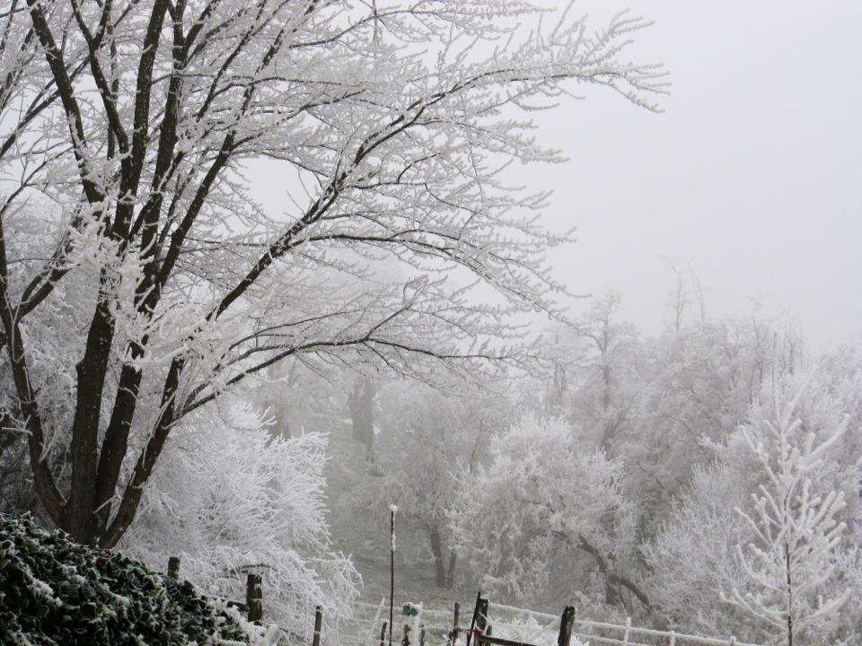 More frost...