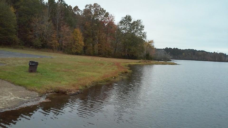 Dena Clayton's album, Mobile Uploads