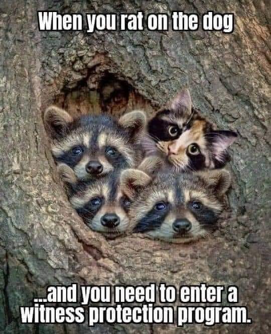 Makes me smile’. Happy Saturday.