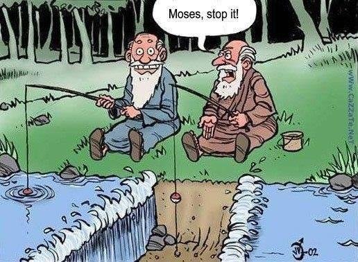 Skip Goetz's album, Timeline Photos