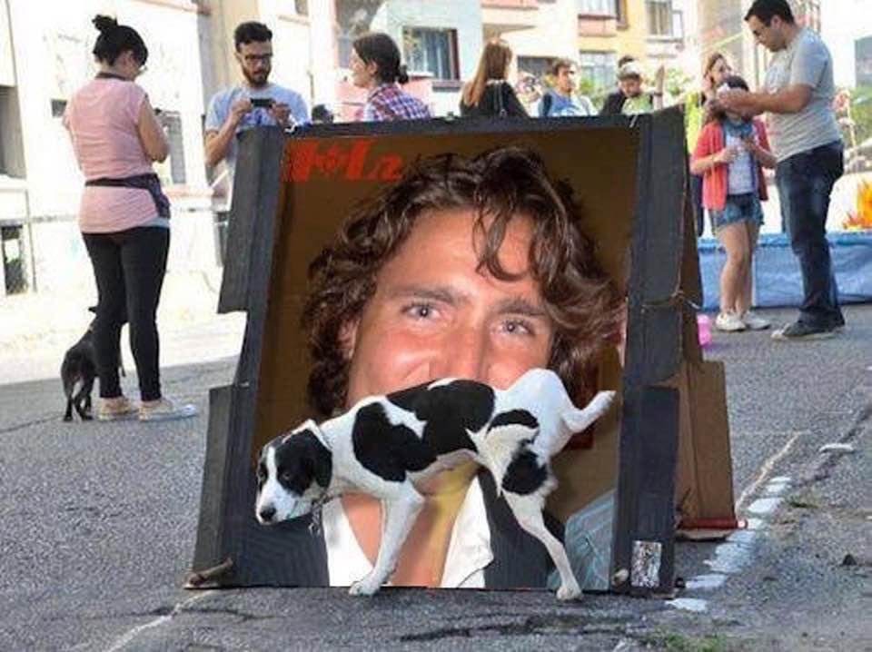 Dogs are so smart :-)