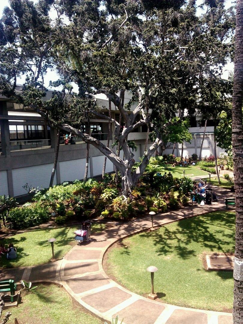 Waiting for Hawaiian Air flight to Maui - reminds me of Philadelphia. :-)