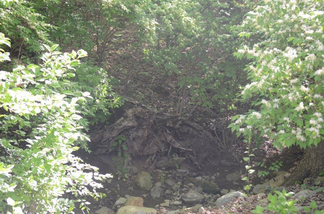 Mark Turner's album, Spring 2017
