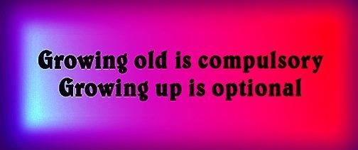 Jerry Stephani's album, Timeline photos