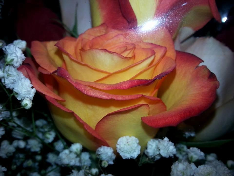 Nelson Rosas' album, Mobile Uploads