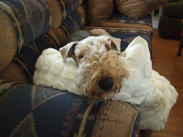 Hes just so cute, can't help taking his picture.