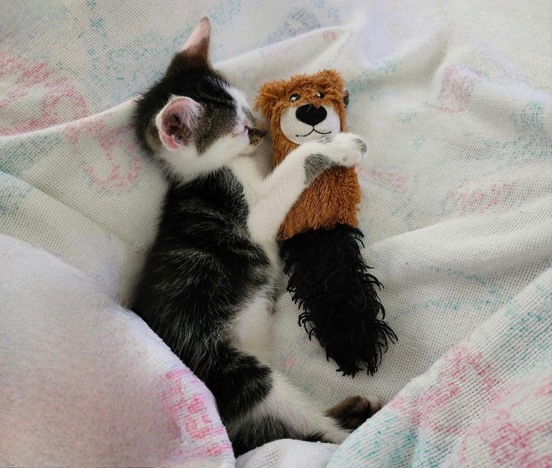 The early days. 😸