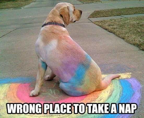 Paul Bean's album, Timeline Photos