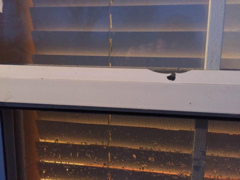 Vinyl window trim damaged from hail!