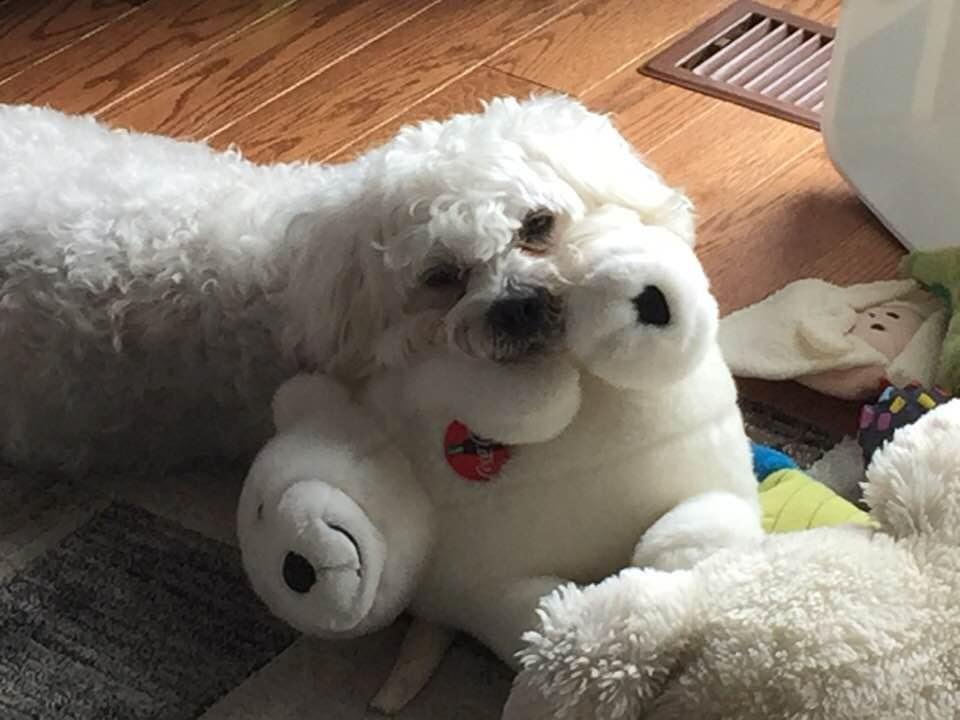 Relaxed and hanging out with my favourite toys.