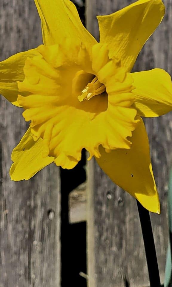 Spring is here...