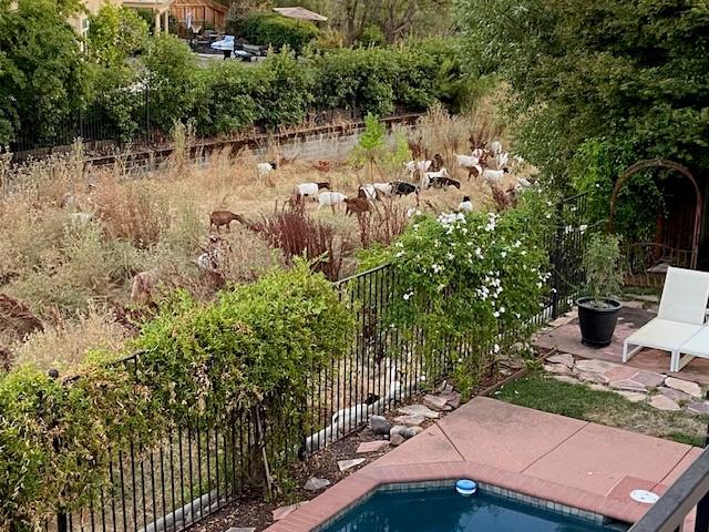 Mark Risney's album, Timeline photos