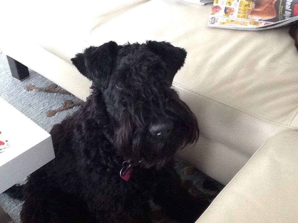 Rosie quiet for one moment