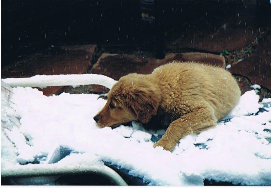 Brand and her first experience with snow in July or maybe August - not sure