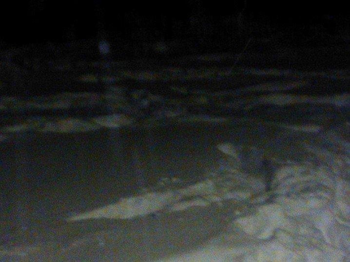 I was way back beyond that light . Its pretty but unlike Colorado, it will probably still be here in March. No kidding, just gray not white.