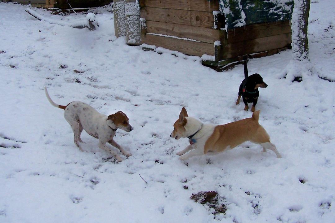 100_3822_00.jpg