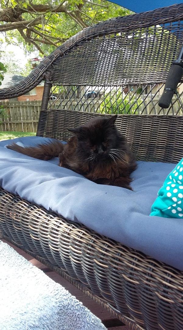 Tina loved summer