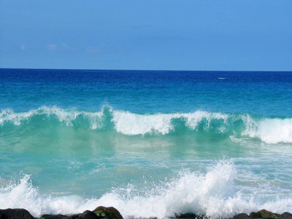 Another beautiful day. We spent part of the day watching sea turtles, snorklers and surfers at Magic Sands Beach. This morning we saw a lot of dolphins from the lanai and whales this afternoon.